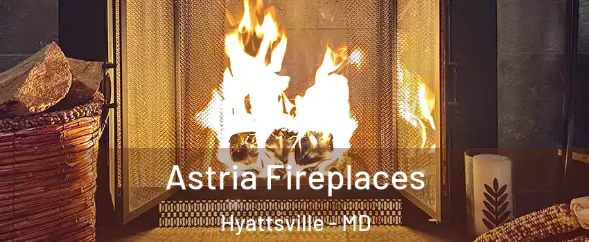  Astria Fireplaces Hyattsville - MD