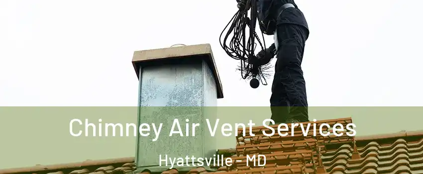  Chimney Air Vent Services Hyattsville - MD