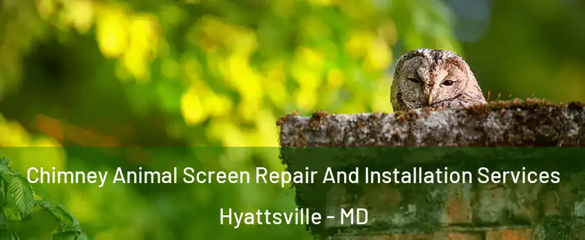 Chimney Animal Screen Repair And Installation Services Hyattsville - MD
