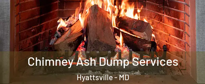  Chimney Ash Dump Services Hyattsville - MD