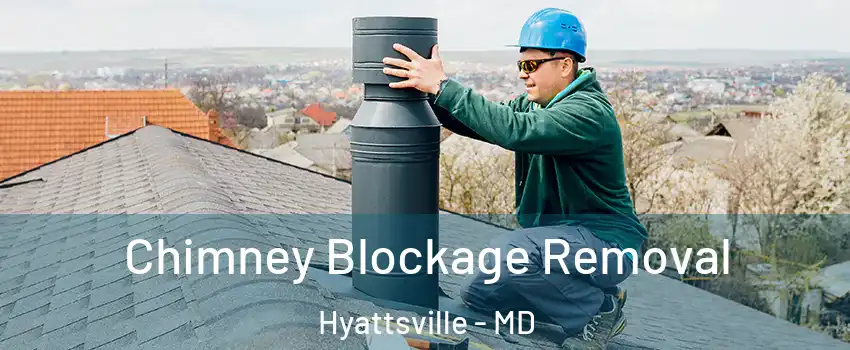 Chimney Blockage Removal Hyattsville - MD