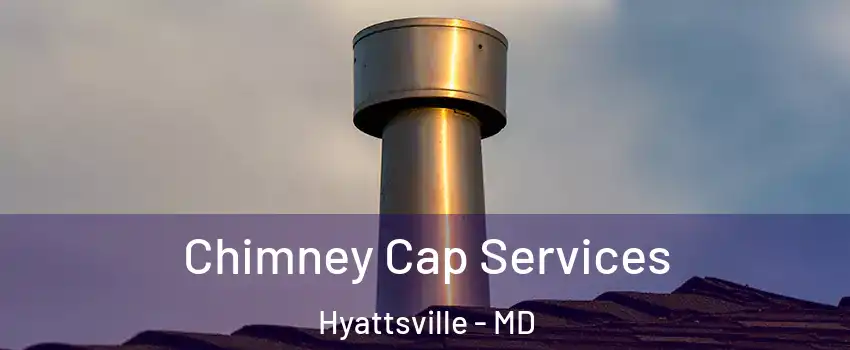  Chimney Cap Services Hyattsville - MD