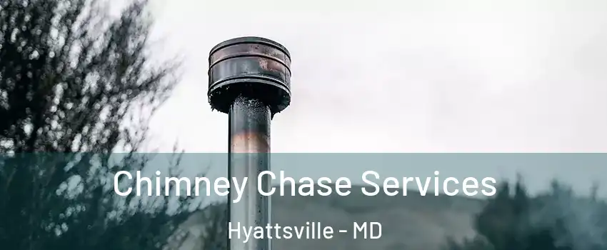 Chimney Chase Services Hyattsville - MD