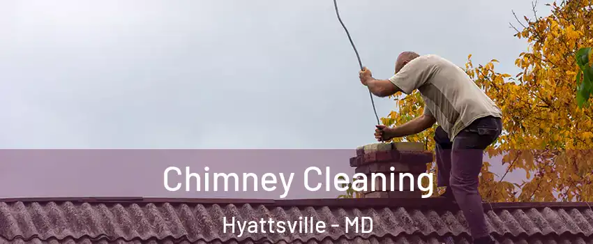  Chimney Cleaning Hyattsville - MD