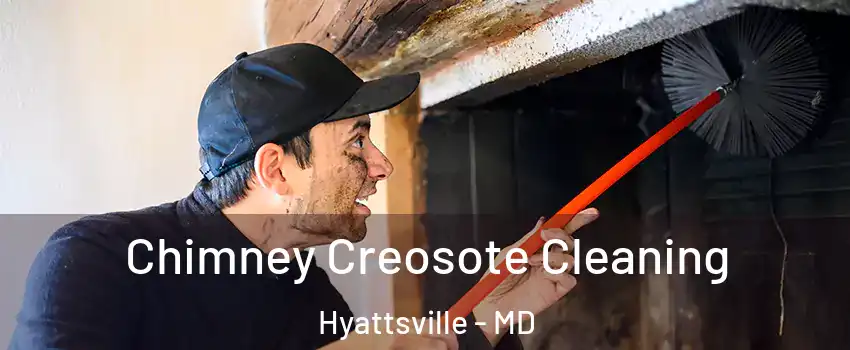 Chimney Creosote Cleaning Hyattsville - MD