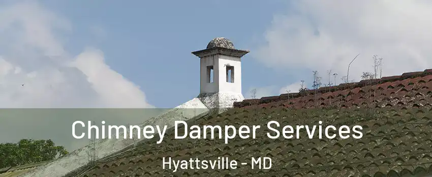  Chimney Damper Services Hyattsville - MD