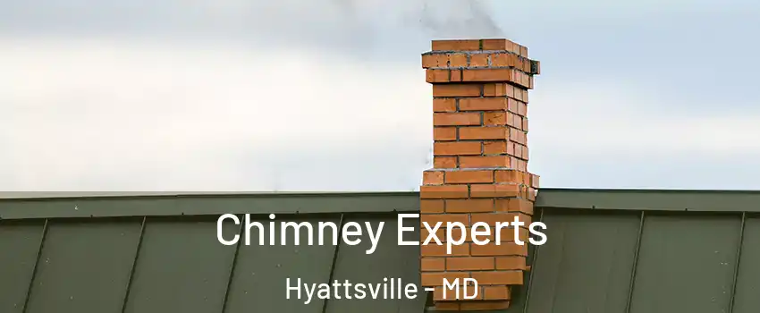 Chimney Experts Hyattsville - MD
