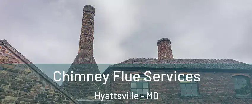 Chimney Flue Services Hyattsville - MD