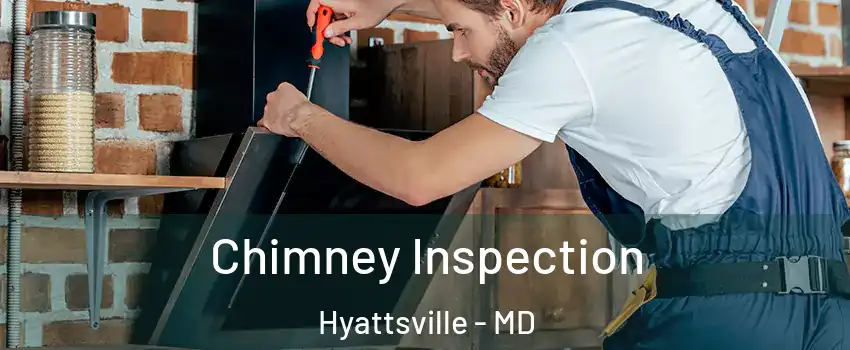  Chimney Inspection Hyattsville - MD