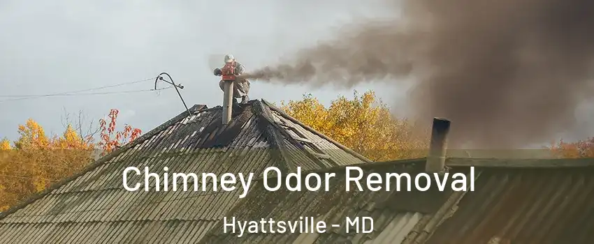  Chimney Odor Removal Hyattsville - MD
