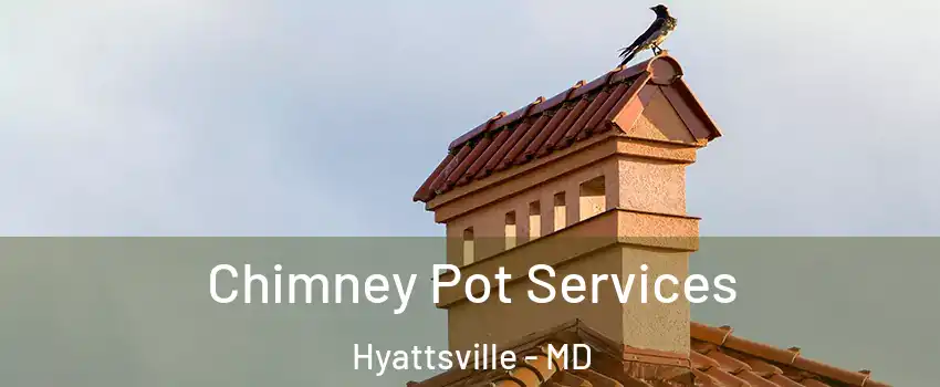  Chimney Pot Services Hyattsville - MD