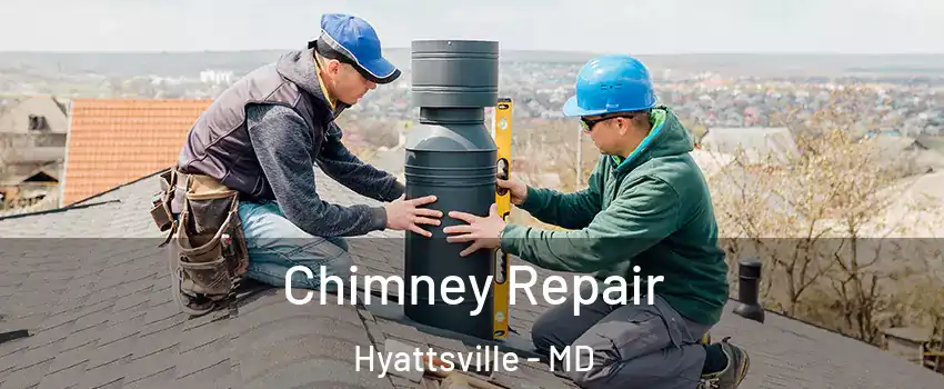  Chimney Repair Hyattsville - MD
