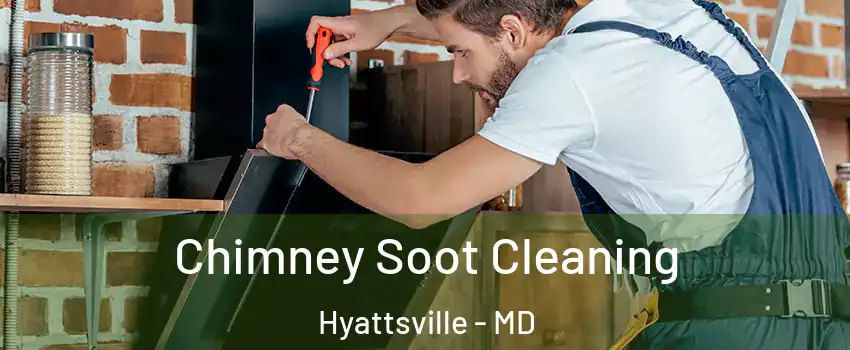 Chimney Soot Cleaning Hyattsville - MD