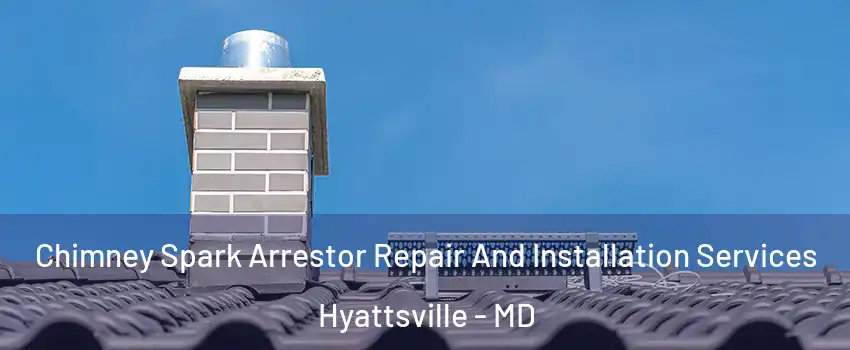 Chimney Spark Arrestor Repair And Installation Services Hyattsville - MD