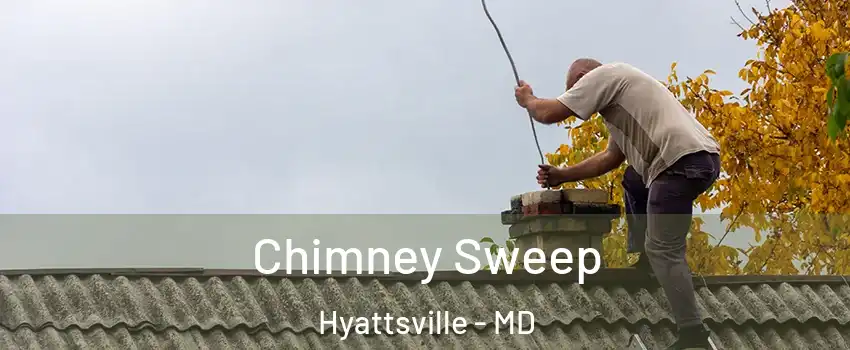  Chimney Sweep Hyattsville - MD