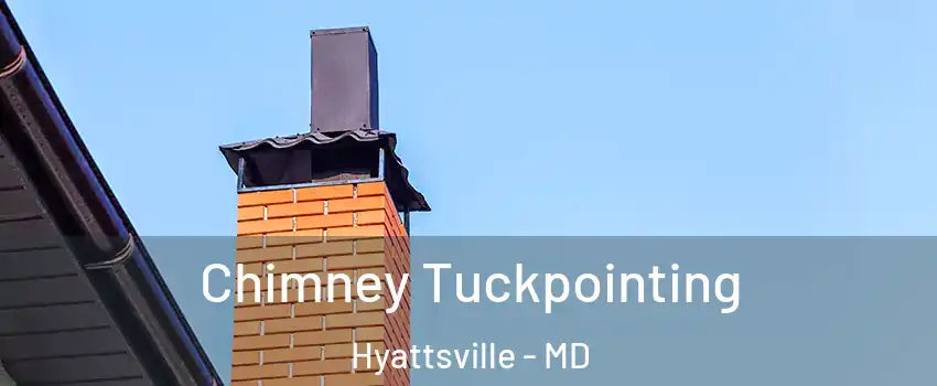  Chimney Tuckpointing Hyattsville - MD