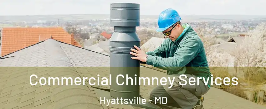  Commercial Chimney Services Hyattsville - MD