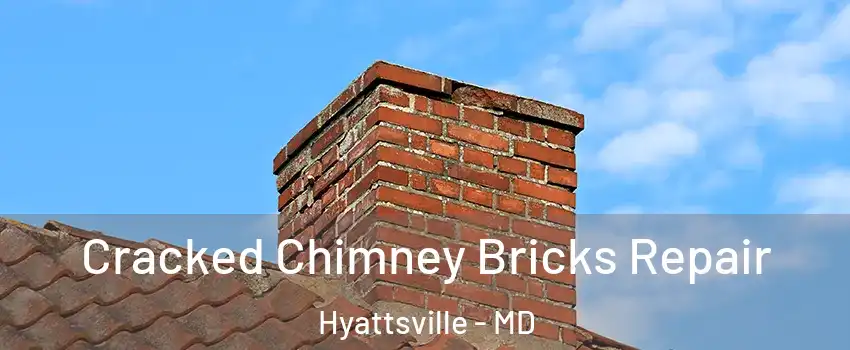  Cracked Chimney Bricks Repair Hyattsville - MD