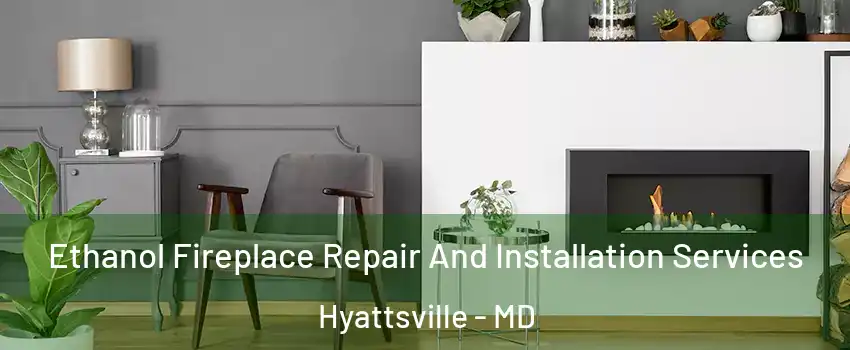  Ethanol Fireplace Repair And Installation Services Hyattsville - MD
