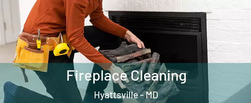  Fireplace Cleaning Hyattsville - MD