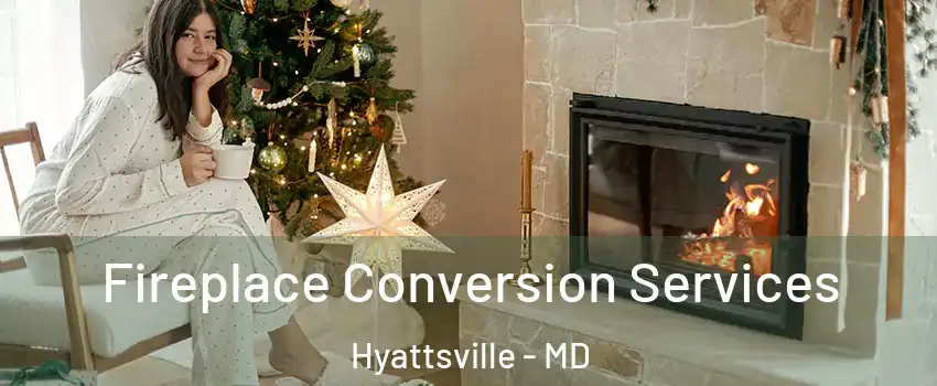  Fireplace Conversion Services Hyattsville - MD