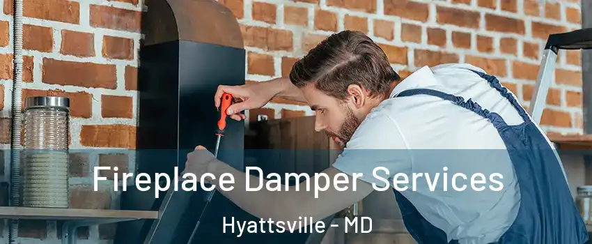 Fireplace Damper Services Hyattsville - MD