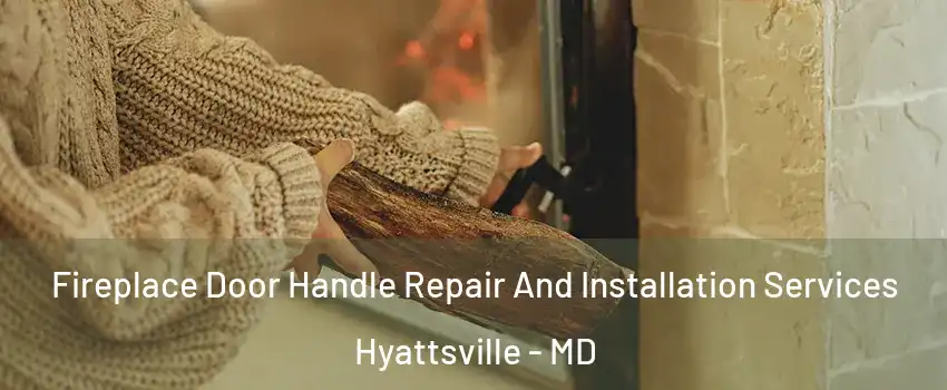 Fireplace Door Handle Repair And Installation Services Hyattsville - MD