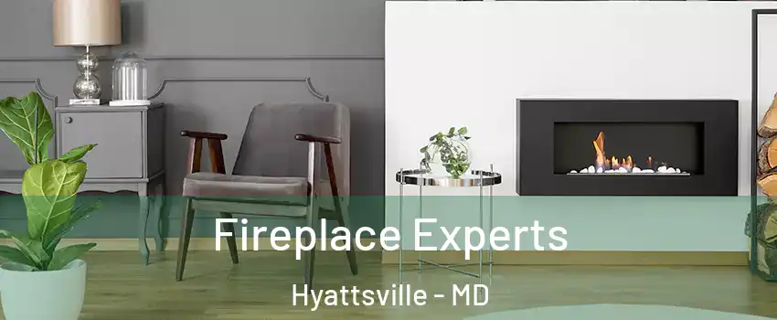 Fireplace Experts Hyattsville - MD