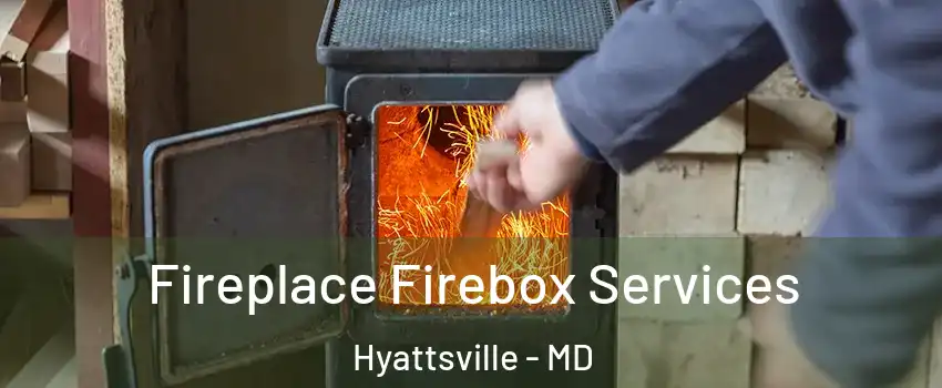 Fireplace Firebox Services Hyattsville - MD