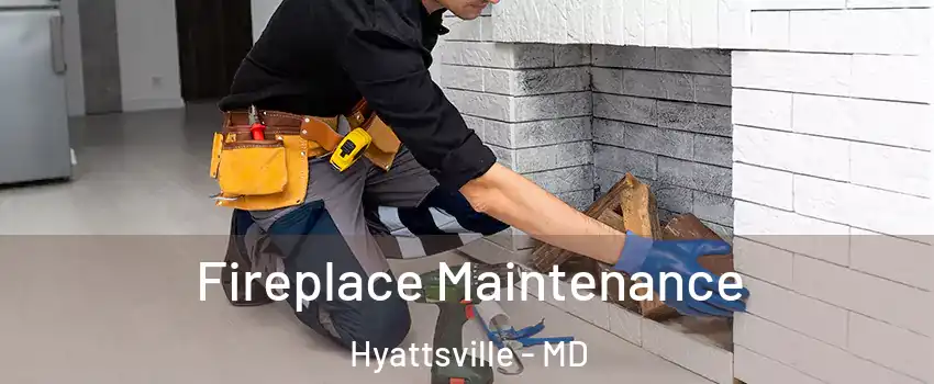  Fireplace Maintenance Hyattsville - MD