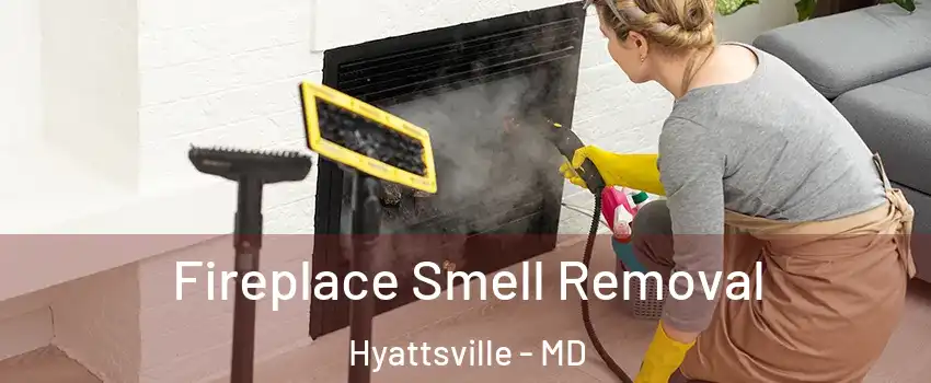  Fireplace Smell Removal Hyattsville - MD