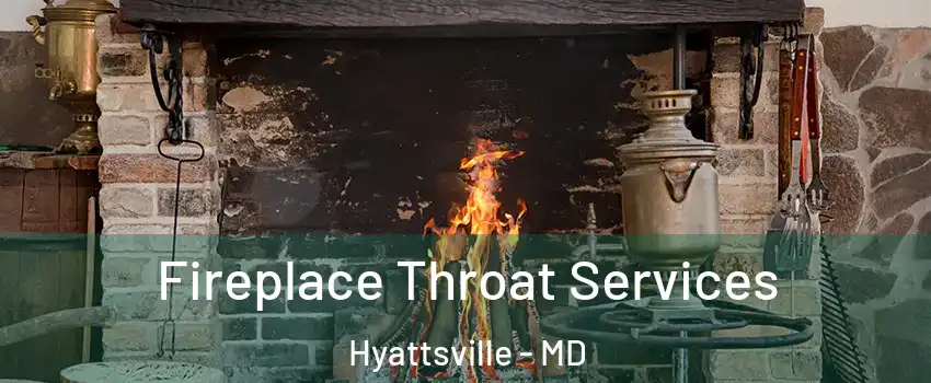 Fireplace Throat Services Hyattsville - MD