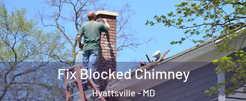  Fix Blocked Chimney Hyattsville - MD