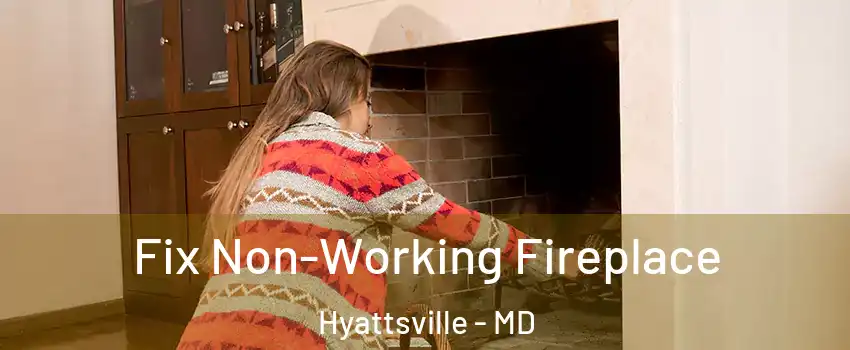  Fix Non-Working Fireplace Hyattsville - MD