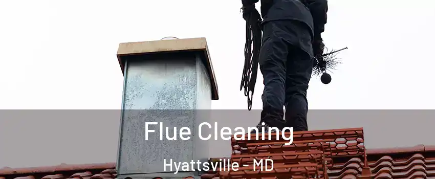  Flue Cleaning Hyattsville - MD