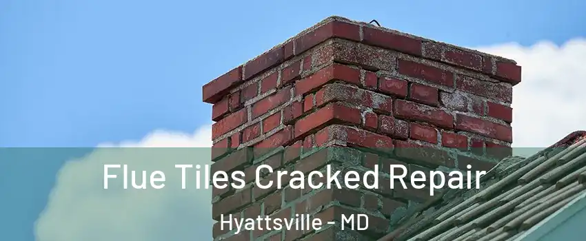  Flue Tiles Cracked Repair Hyattsville - MD