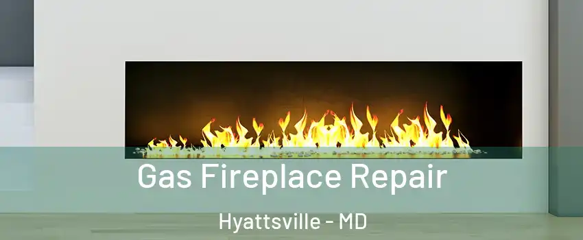  Gas Fireplace Repair Hyattsville - MD