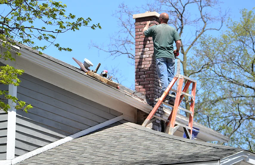 Chimney & Fireplace Inspections Services in Hyattsville, MD