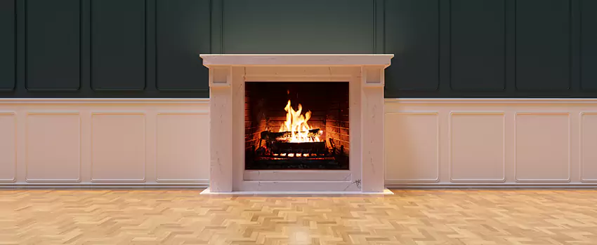 Napoleon Electric Fireplaces Inspection Service in Hyattsville, Maryland