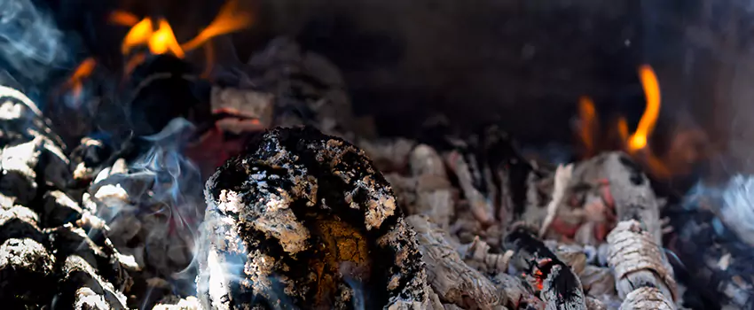 Creosote Removal Experts in Hyattsville, MD