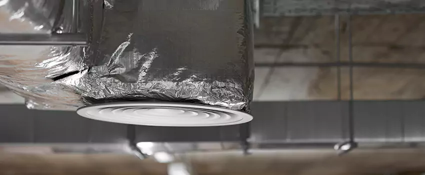 Signs of Dust Accumulation in Vents in Hyattsville, MD