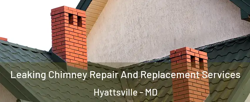 Leaking Chimney Repair And Replacement Services Hyattsville - MD