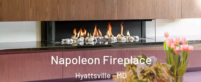  Napoleon Fireplace Hyattsville - MD
