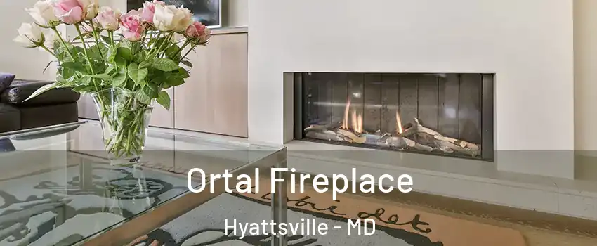  Ortal Fireplace Hyattsville - MD