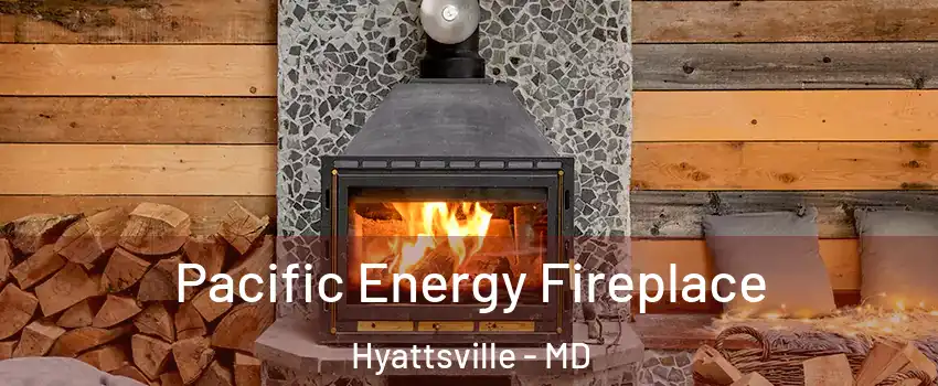  Pacific Energy Fireplace Hyattsville - MD