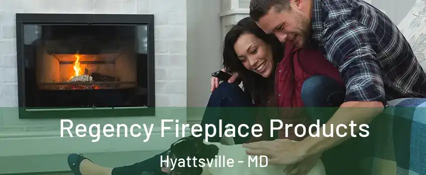 Regency Fireplace Products Hyattsville - MD